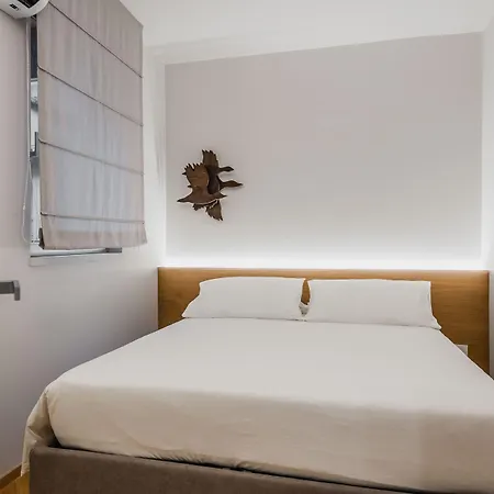 Apartamento Ferrini - Riso 80 *